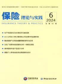 保险理论与实践